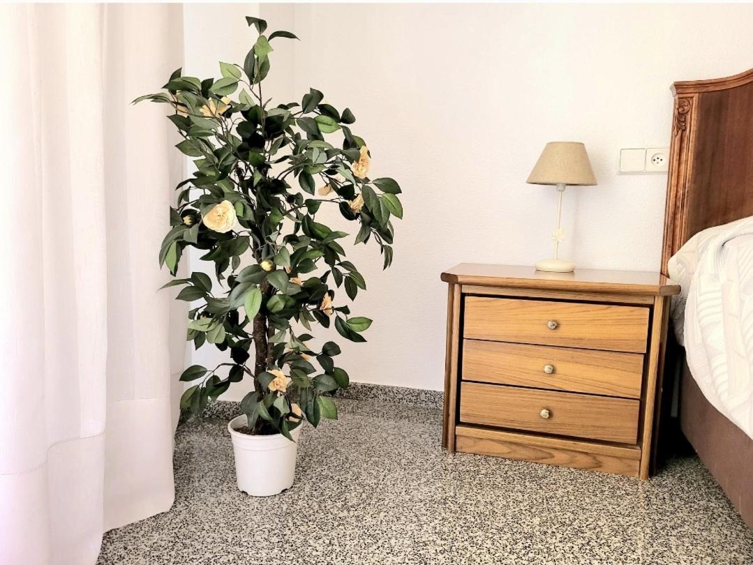 Apartament Amistosa, Habitacion Con Balcon, Alicante, Playa, Centro, Rambla, Mercado Zewnętrze zdjęcie